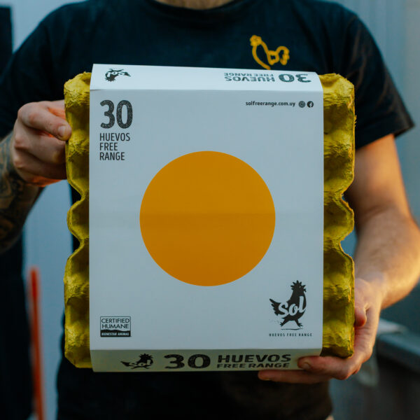 Huevos frescos de 30 Sol Free Range